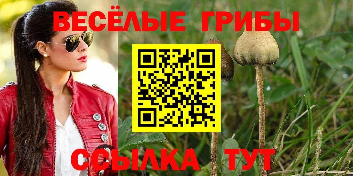 Галлюциногенные грибы прущие грибы  Псилоцибиновые грибы Cubensis  Усолье-Сибирское  Вход с VPN 